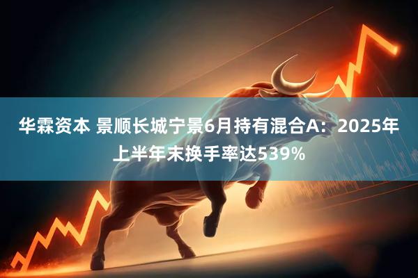 华霖资本 景顺长城宁景6月持有混合A：2025年上半年末换手率达539%