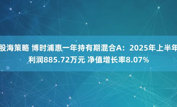 股海策略 博时浦惠一年持有期混合A：2025年上半年利润885.72万元 净值增长率8.07%
