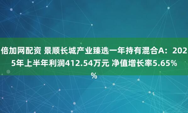 倍加网配资 景顺长城产业臻选一年持有混合A：2025年上半年利润412.54万元 净值增长率5.65%