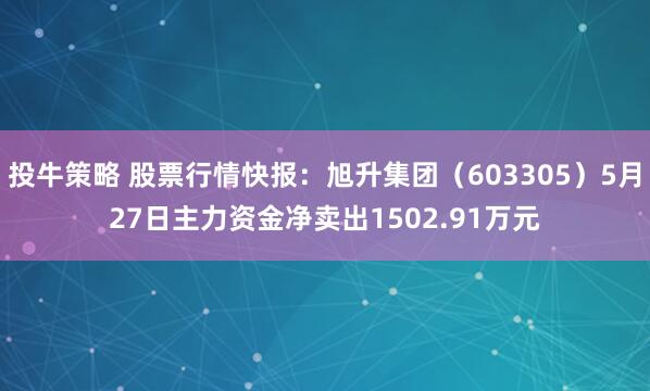 投牛策略 股票行情快报：旭升集团（603305）5月27日主力资金净卖出1502.91万元