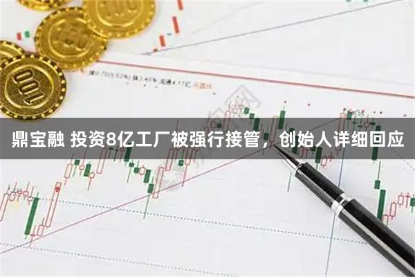 鼎宝融 投资8亿工厂被强行接管，创始人详细回应