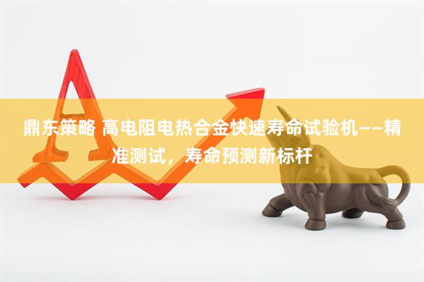 鼎东策略 高电阻电热合金快速寿命试验机——精准测试，寿命预测新标杆