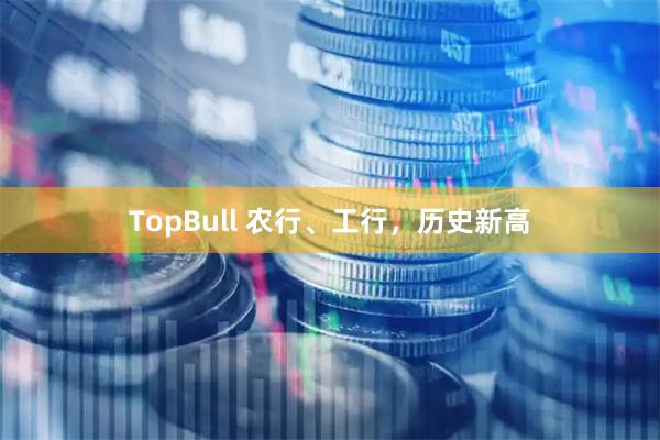 TopBull 农行、工行，历史新高