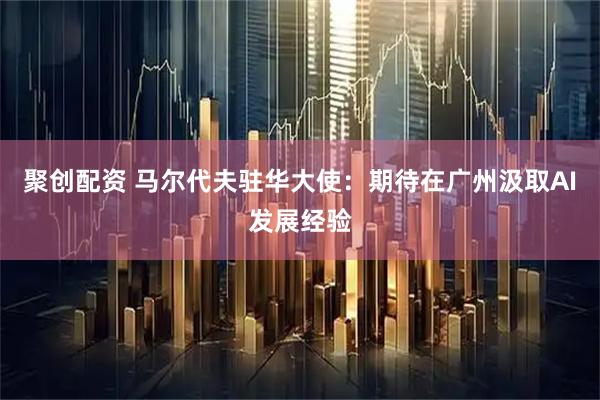 聚创配资 马尔代夫驻华大使：期待在广州汲取AI发展经验
